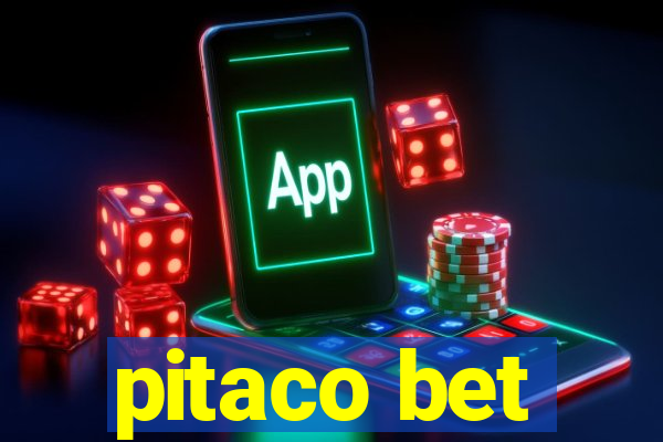 pitaco bet